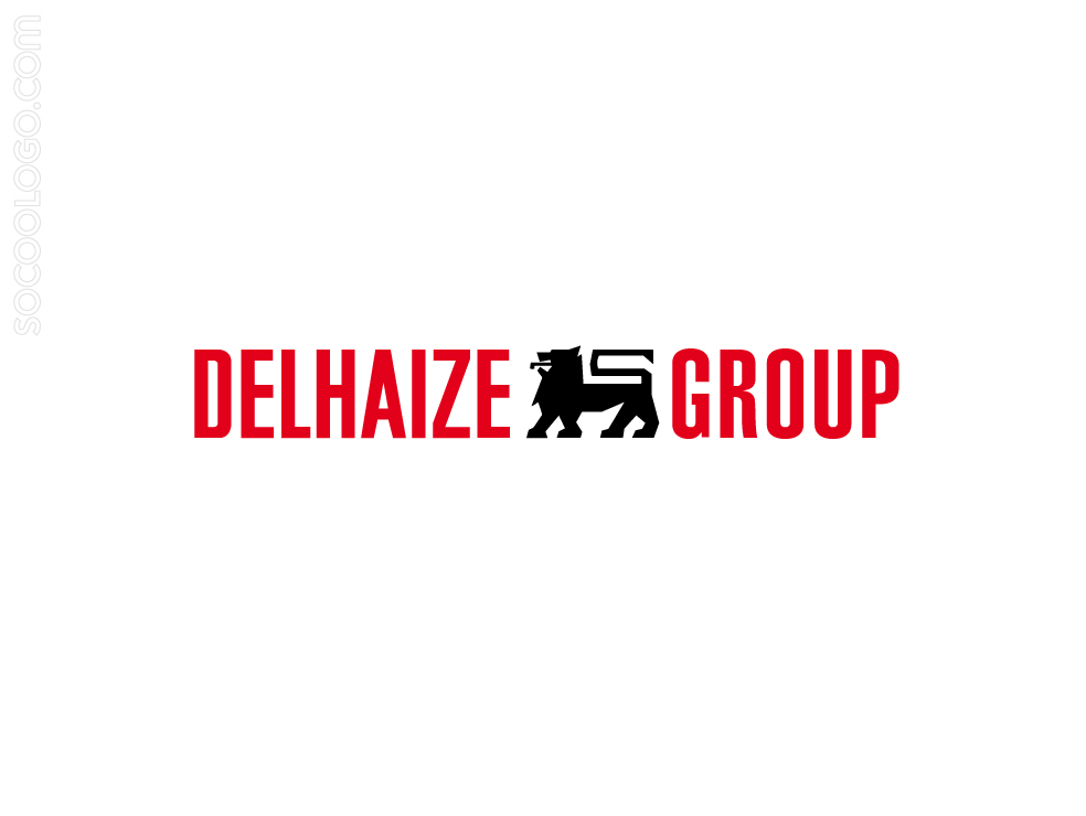 德尔海兹集团logo