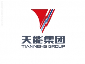 天能动力国际有限公司LOGO